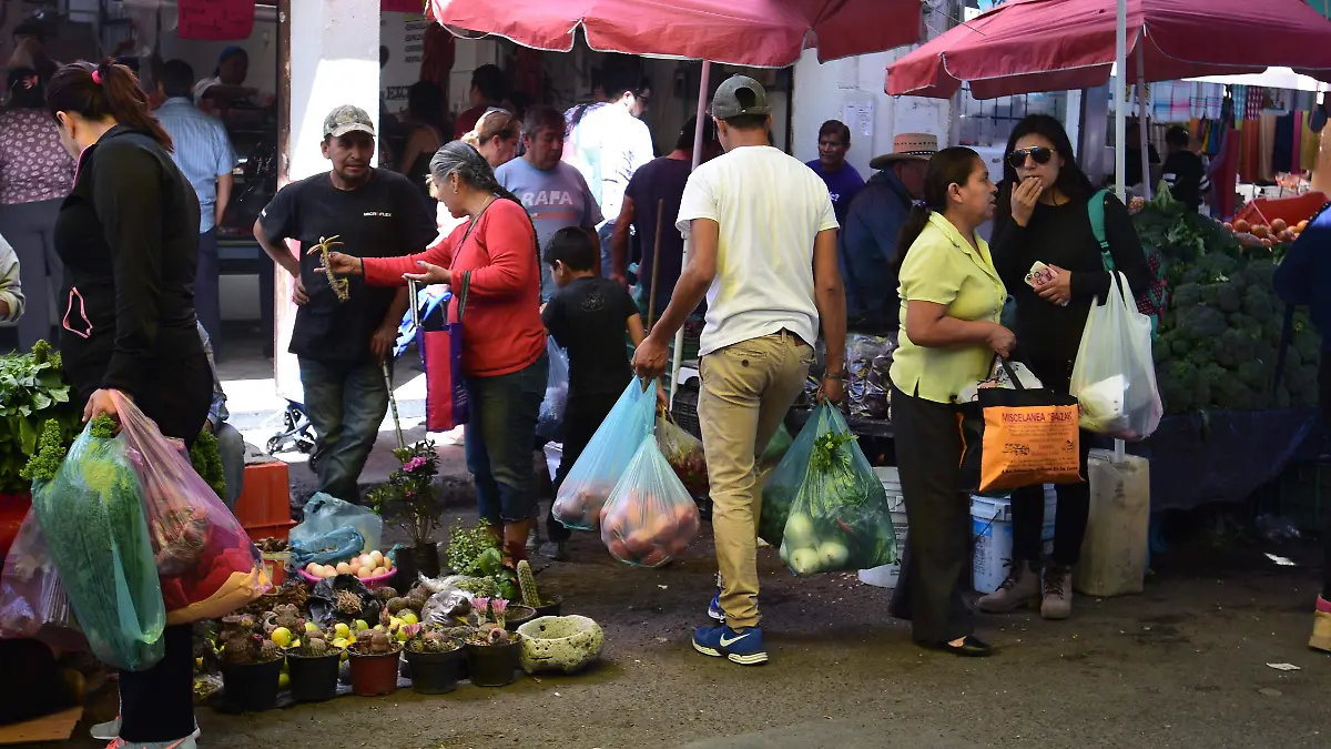 LEY ANTIPLÁSTICO